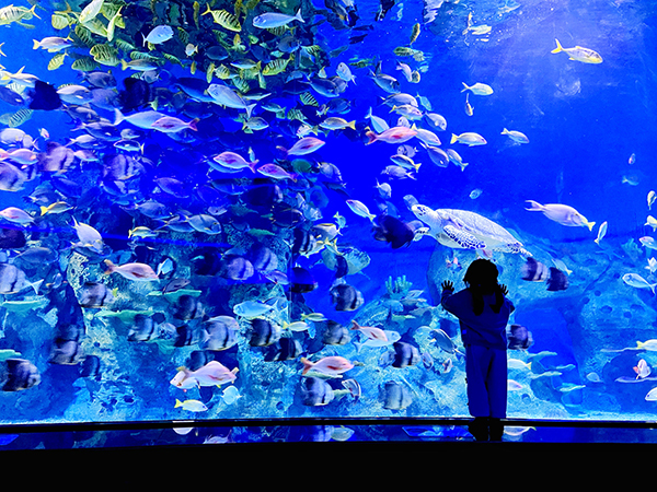 1680508911630687YBUU.jpg 一等獎 探索.jpg