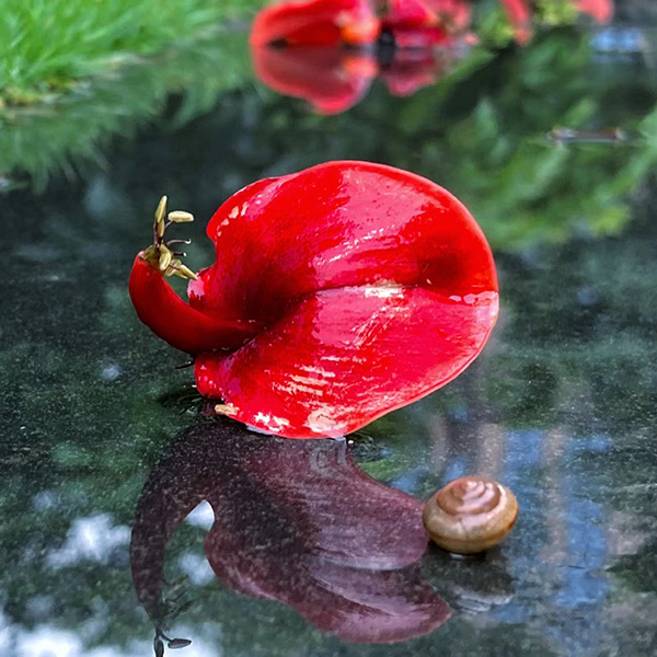 1680508961786300qaLS.jpg 二等獎 遇見.jpg