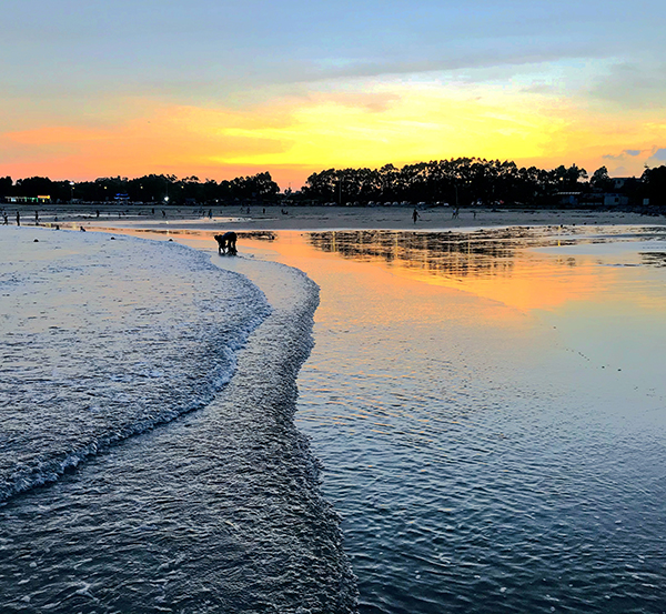 1680509088244702Z30W.jpg 優(yōu)秀獎 趕海.jpg