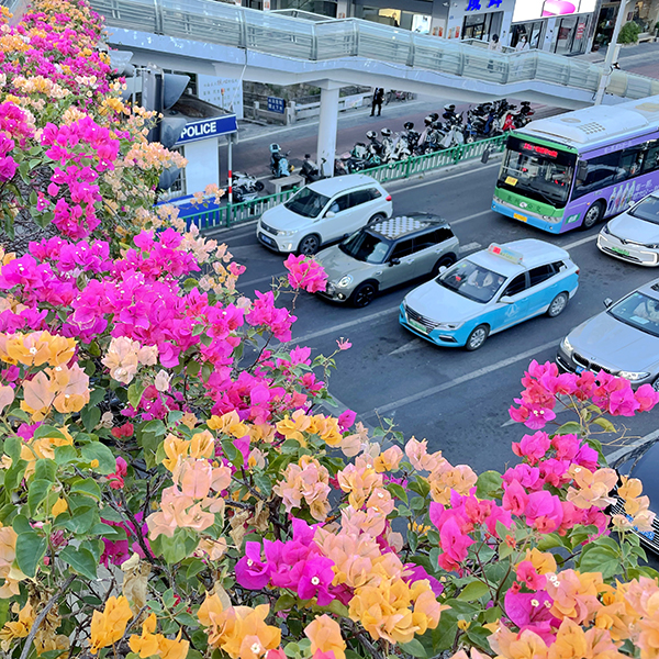 1680509163729271ii4A.jpg 優(yōu)秀獎 多彩生活.jpg